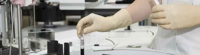 Development of new therapies Development of new therapies